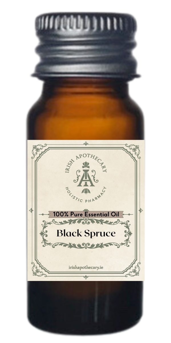 Black Spruce, 100% Pure Essential Oil