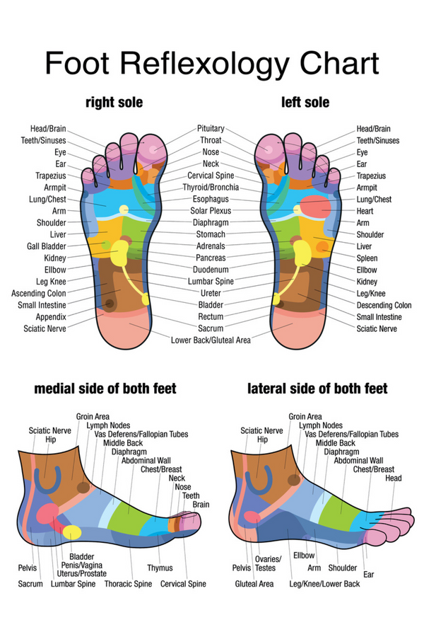 Acupressure Points Reference Posters (Face, Feet and Hands)