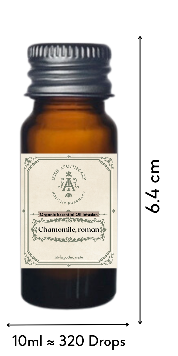 Chamomile roman, Certified Organic Essential Oil Infusion